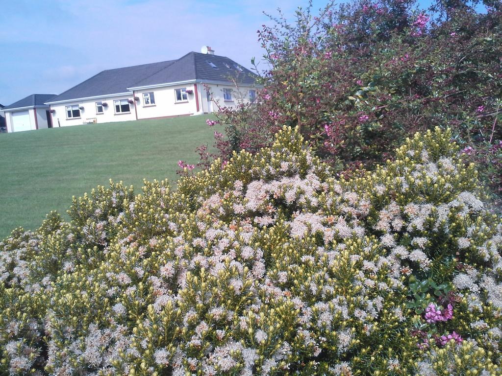 Tullaleagan Guesthouse Oughterard Buitenkant foto
