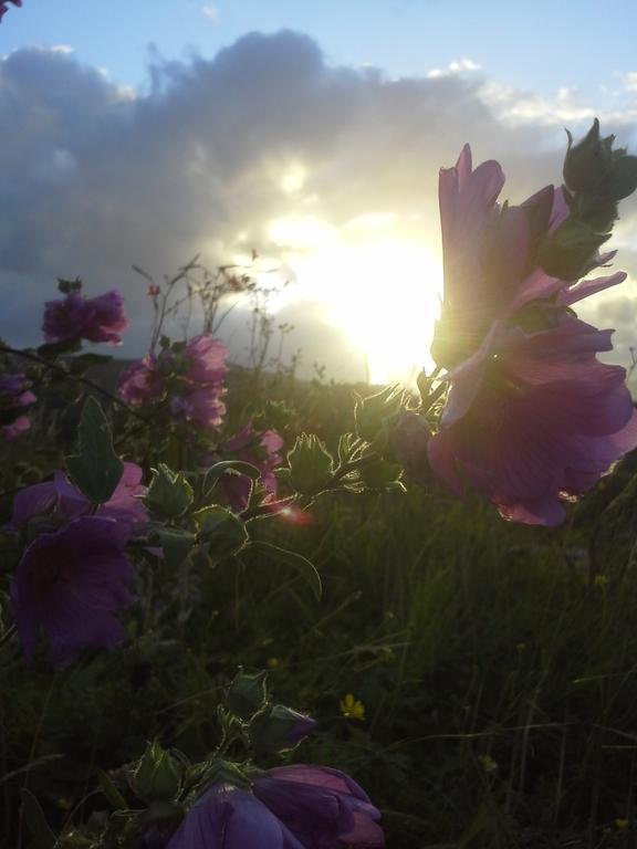 Tullaleagan Guesthouse Oughterard Buitenkant foto